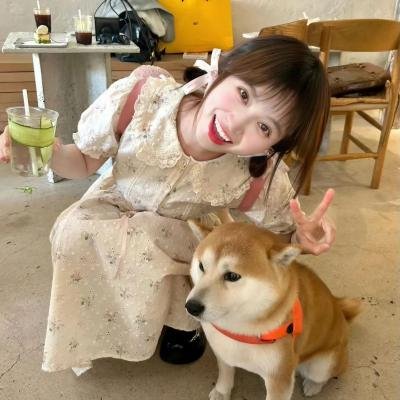 大奥海报