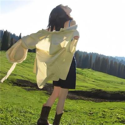 龙城怒汉海报